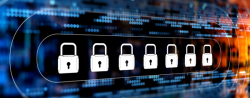 How to Choose the Right SSL Certificate for Your Website
